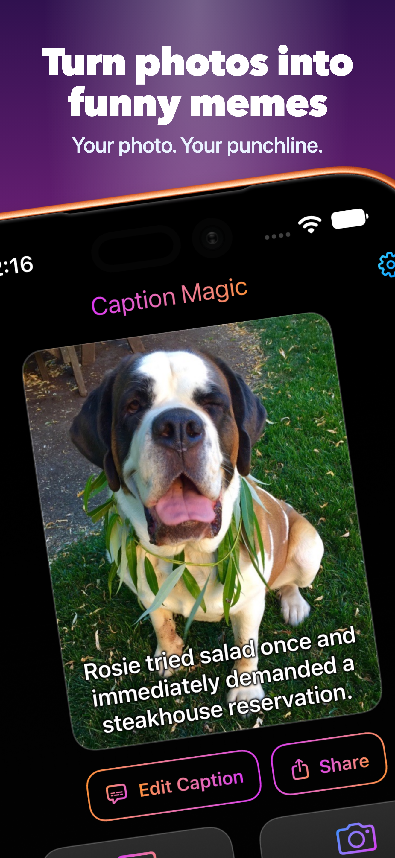 Caption Magic turns a photo into a funny meme, shown with Rosie the St. Bernard.