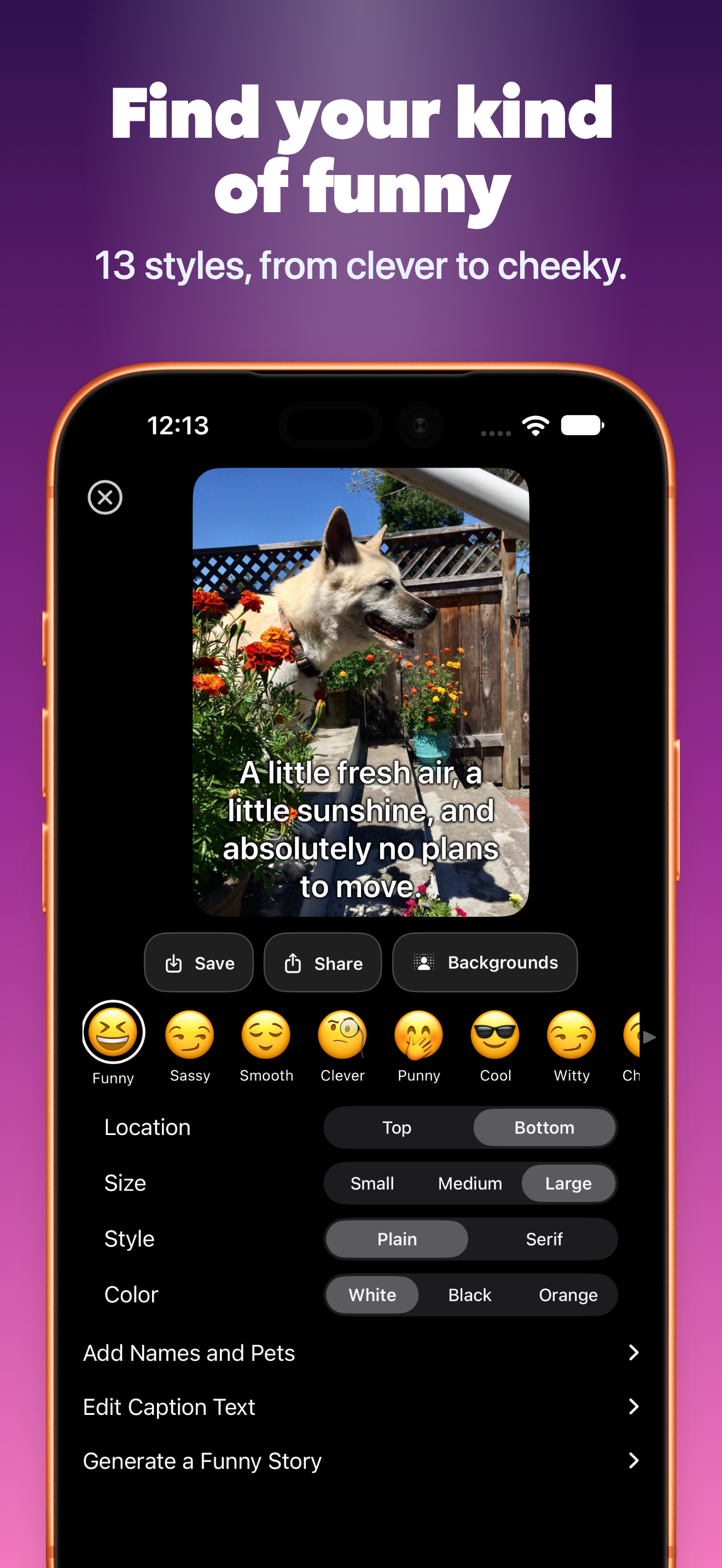 Choose from 13 caption styles, from clever to cheeky.
